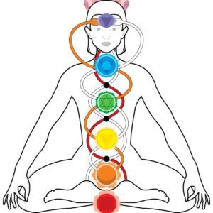 3-day Hormonal Balance Yoga Retreat